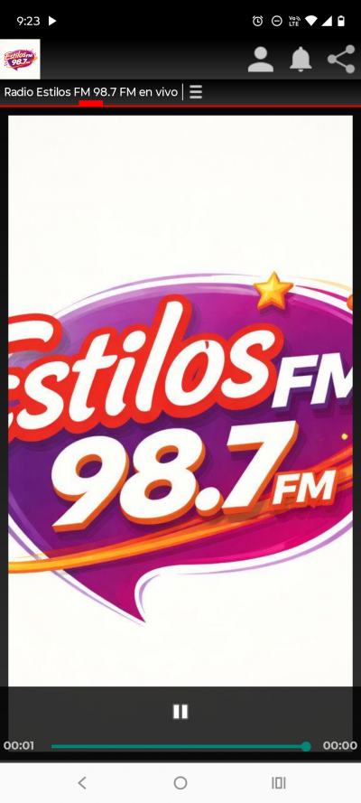 Radio Estilos FM 98.7 FM