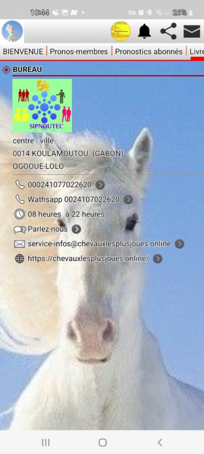 Chevaux Les Plus Joues