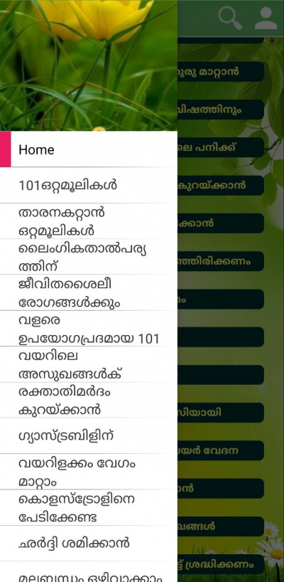ഒറ്റമൂലികൾ