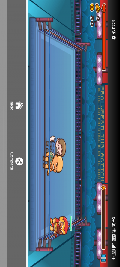 Pro Wrestling Action