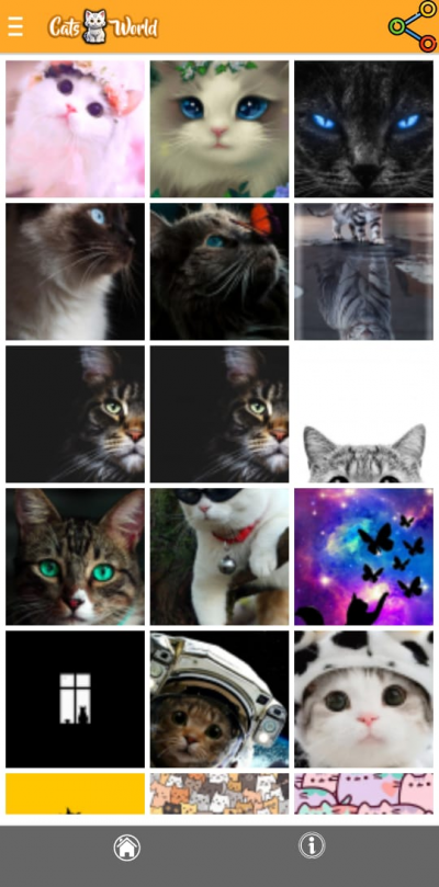 Cats World - Cute Pics & Infos