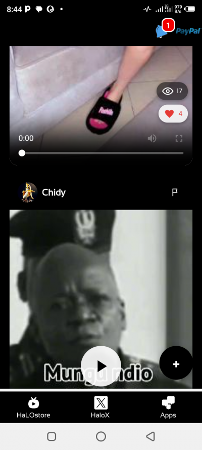 HaLOplay