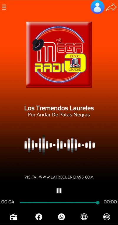La Frecuencia 96