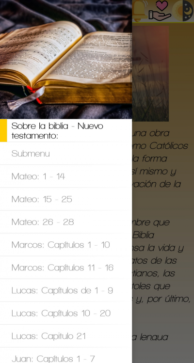 Biblia - Nuevo testamento.