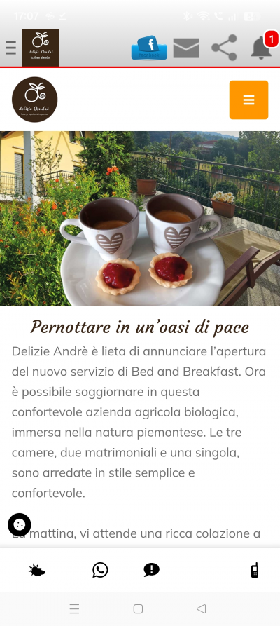 Azienda Agricola Delizie Andrè
