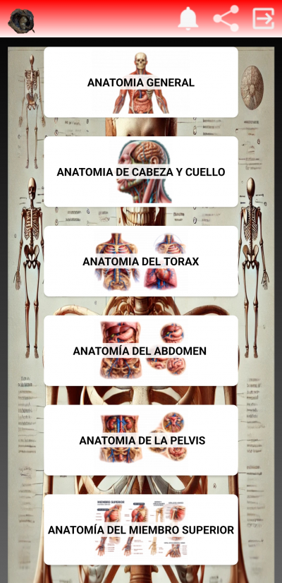 Anatomia Quiz