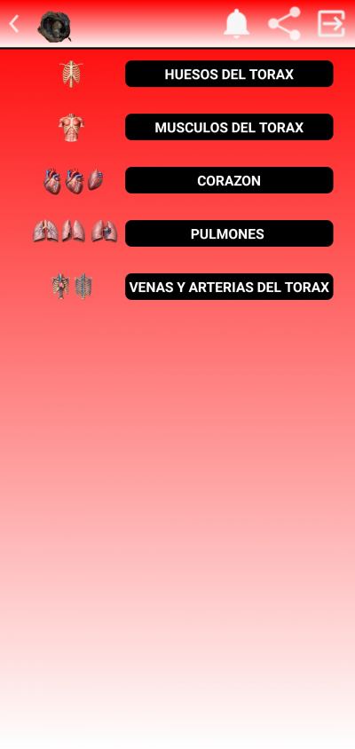 Anatomia Quiz