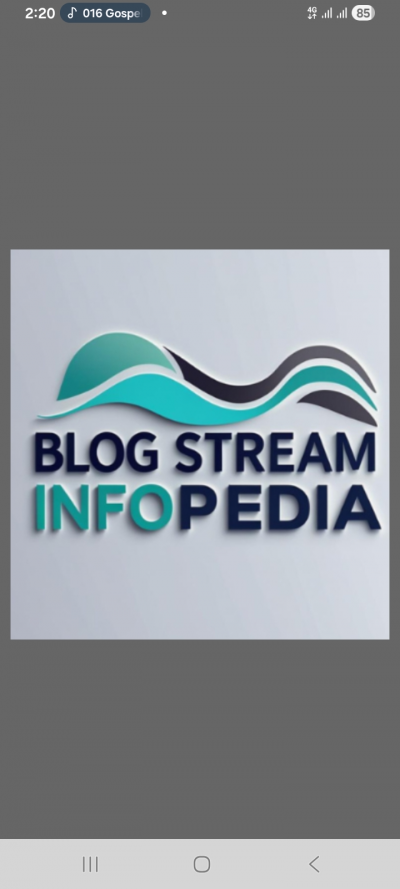 Blog Stream Infopedia