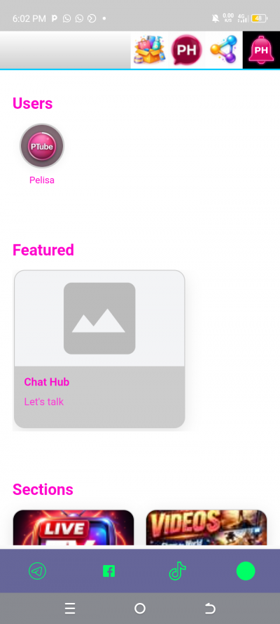 Pelisa Hub