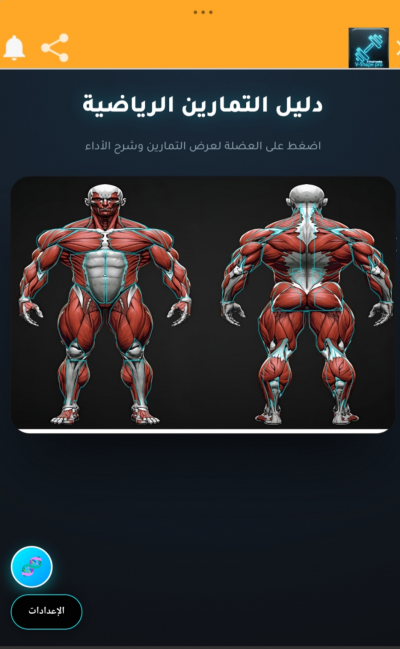 V-Shape Pro