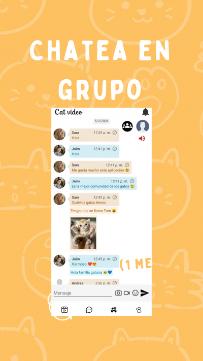 Cat Videos
