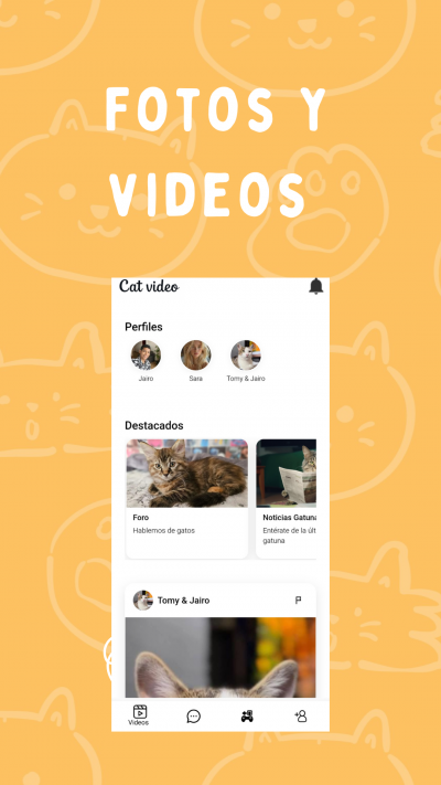 Cat Videos