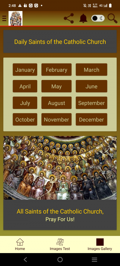 Saints Diary