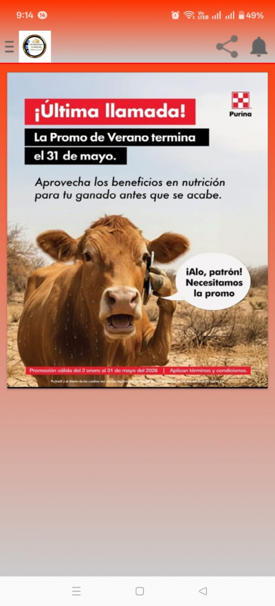 Distribuidora Baltodano