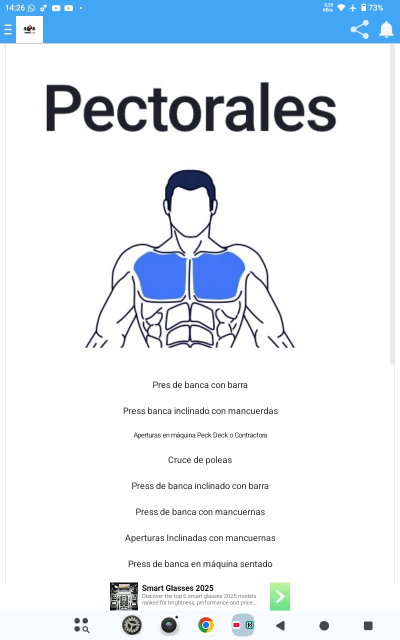 Power Forge Guia De Ejercios GYM
