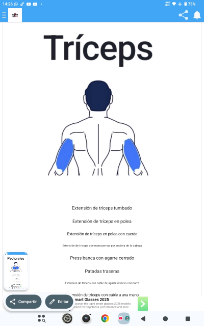 Power Forge Guia De Ejercios GYM