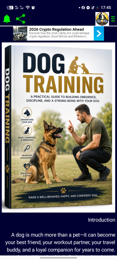 Dog Training