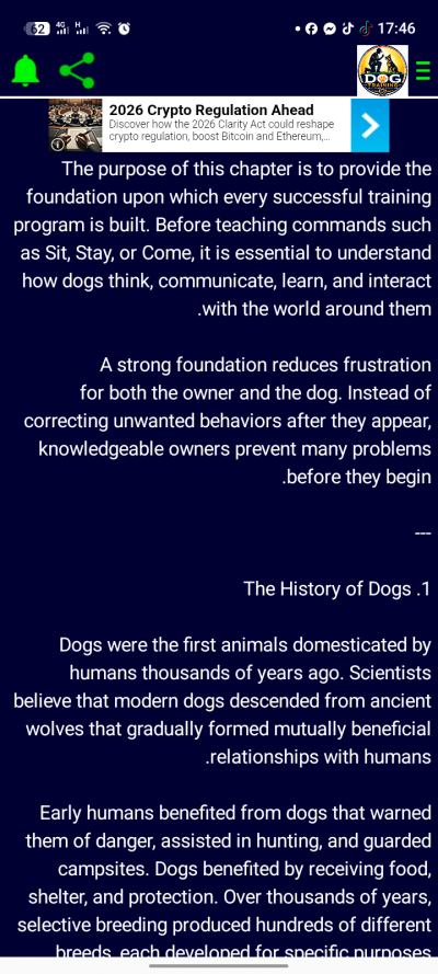 Dog Training