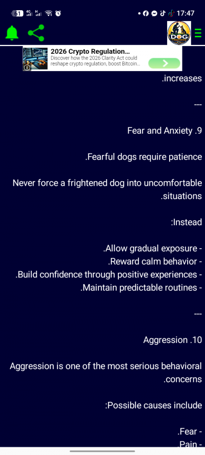 Dog Training