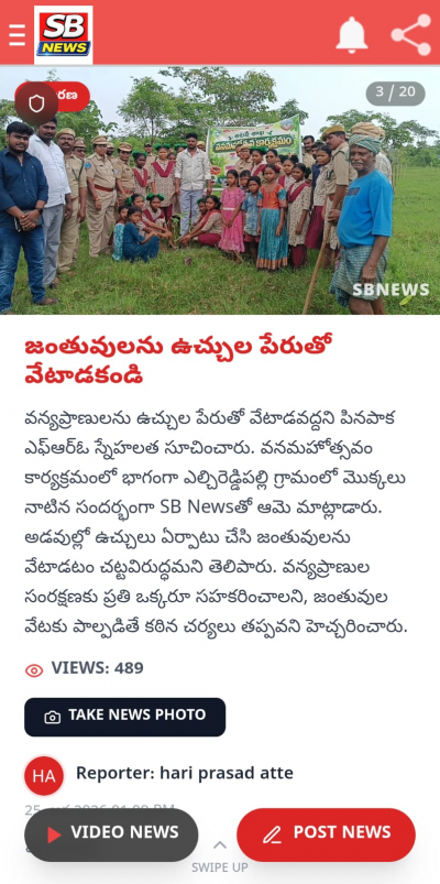 Sbnews